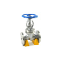 Chinese office supplies 3 inch pneumatic carbon steel / ss a105 globe valve with price list